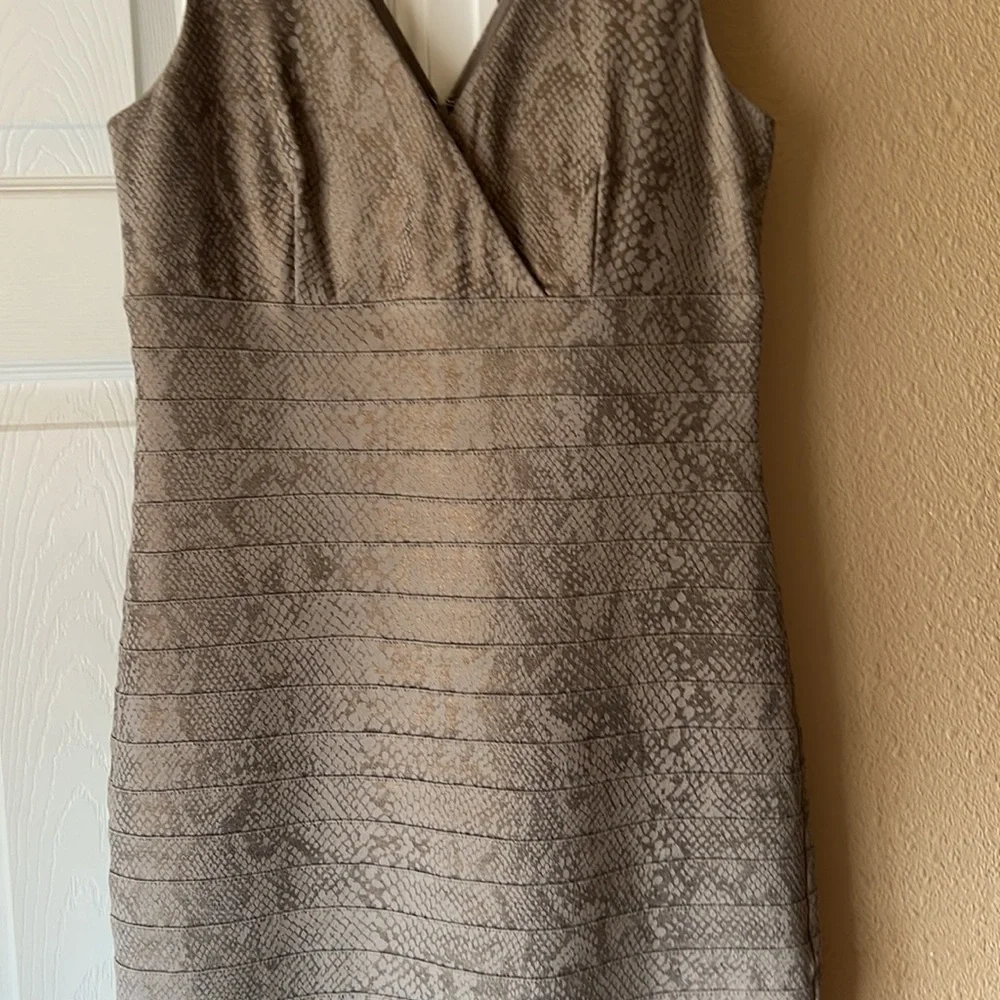 Express - Picture 2 of 6